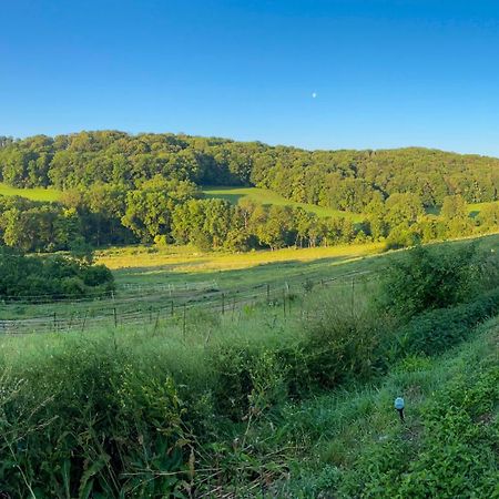 Bauernhof Fuer Naturliebhaber Bucha  Eksteriør bilde